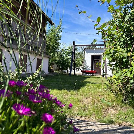 Nest Apartman Balatonszarszo Exterior photo