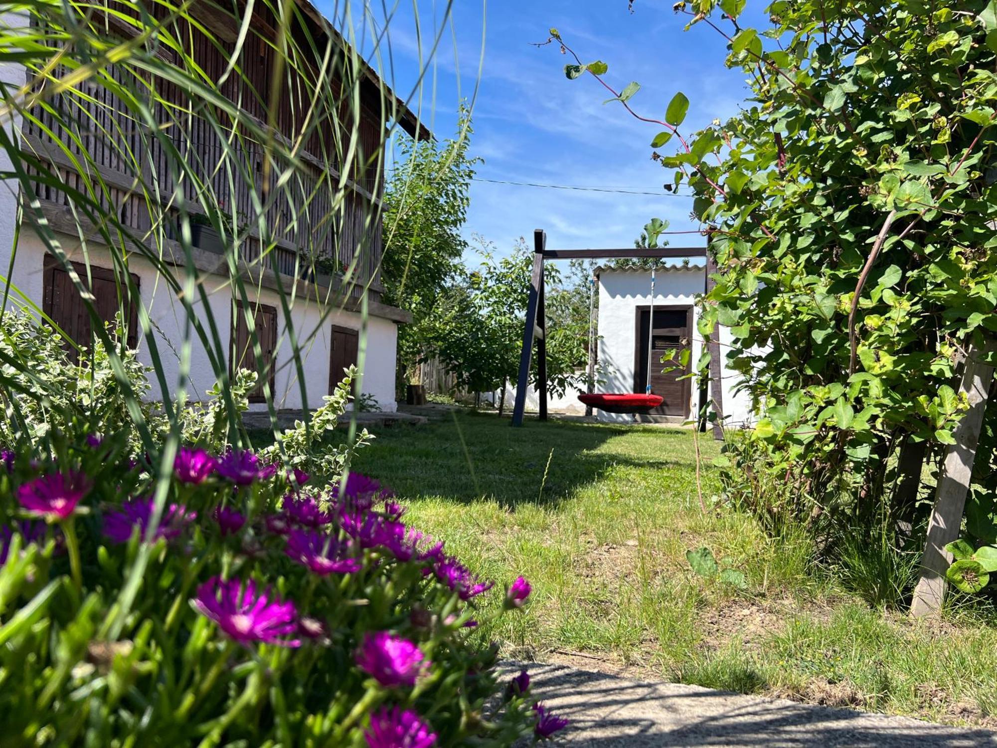 Nest Apartman Balatonszarszo Exterior photo